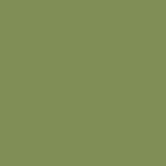 Huge olive green