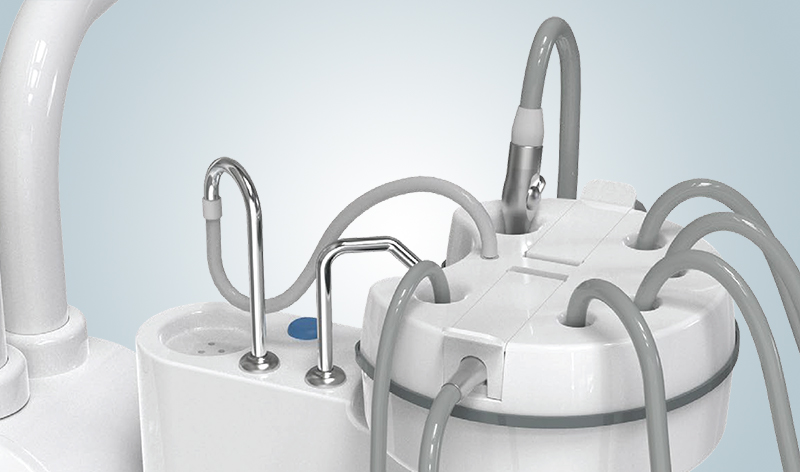 Flushing and disinfection system